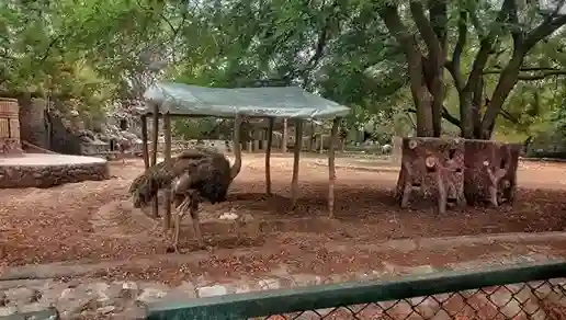 Jaipur Zoo