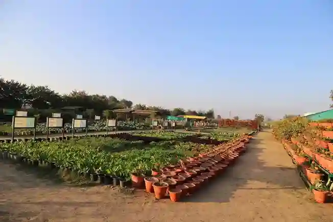 Pratapgarh Farms Jhajjar
