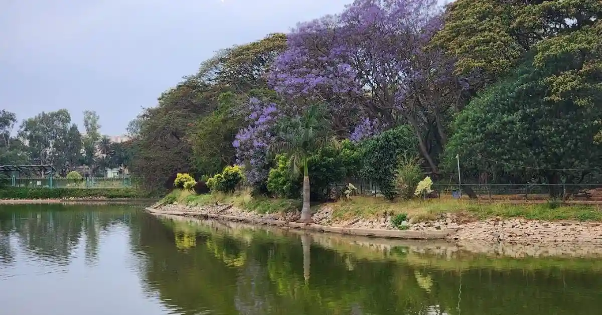 Lalbagh Botanical Garden Bangalore: Timings, Entry Fees, Photos, Map, Ticket Price, Opening Time, Images, History, Closing Time, Flower Show Timings, Nearest Metro Station, Parking, Location, Address & Contact Number (2024)