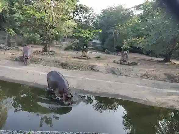 Vandalur Zoo Chennai