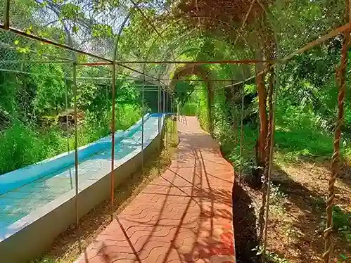 Vandalur Zoo Chennai